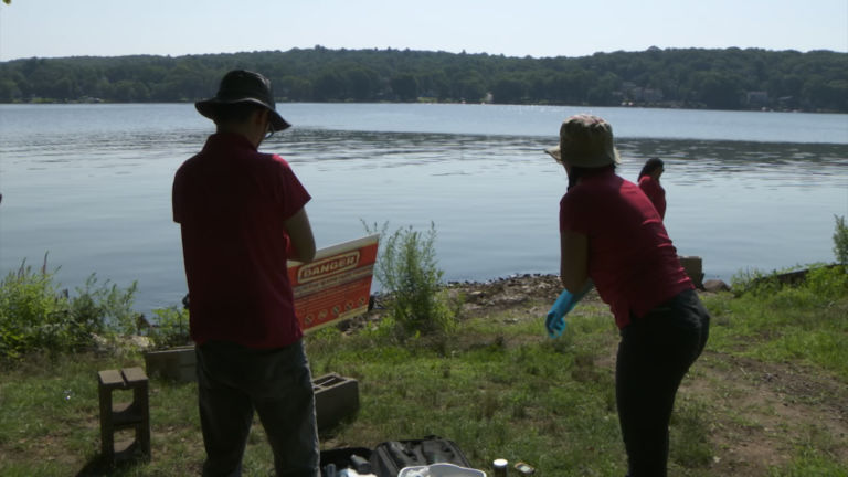 Bacteria to blame for turning Greenwood Lake green