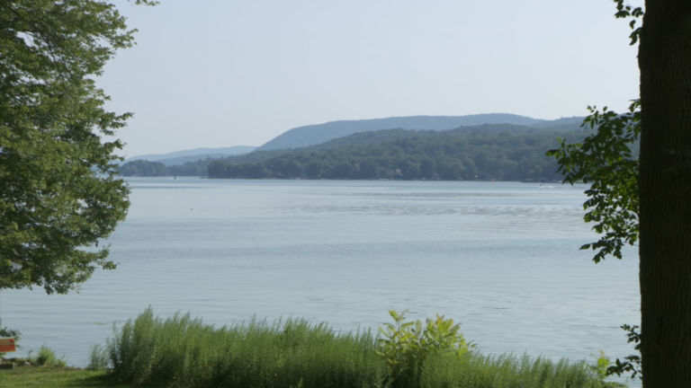 How can the state treat and prevent algal blooms in lakes?