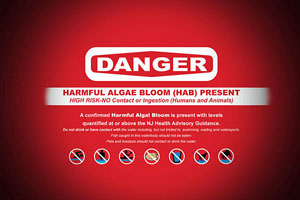 Harmful Algae Bloom Affects Another NJ Lake