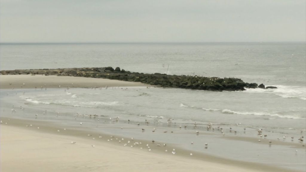 Coastal communities weigh in on resiliency planning