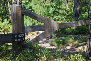 Off-Road drivers still battling conservationists over access to Pinelands