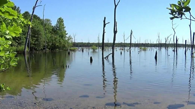 Toxic algal bloom warning lifted at Manasquan Reservoir in Howell