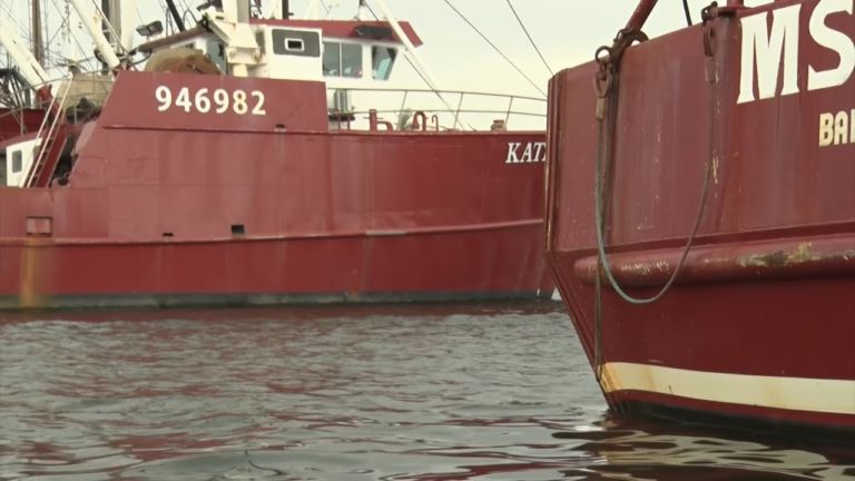 How sustainability efforts are helping the state’s fishing industry