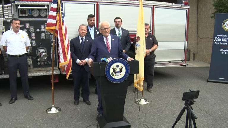 Congress members call for added protections against domestic terrorism