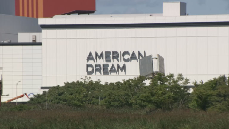 NJ Transit Seeks Help on American Dream, Sees More PTC Delays