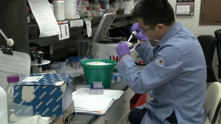 Doctors aim to eliminate hepatitis by 2030