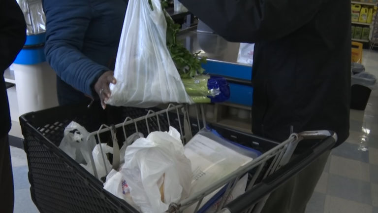 Advances Made to Ban Single-Use Plastic, Paper Bags in New Jersey