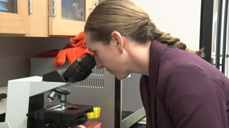 Researchers in a race to unravel mysteries of fungus at heart of NJ outbreak
