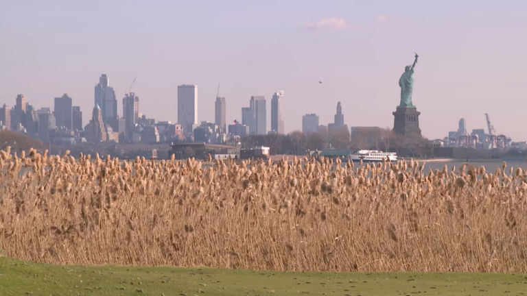 The Wild Acreage in Liberty State Park at Center of Preservation Battle