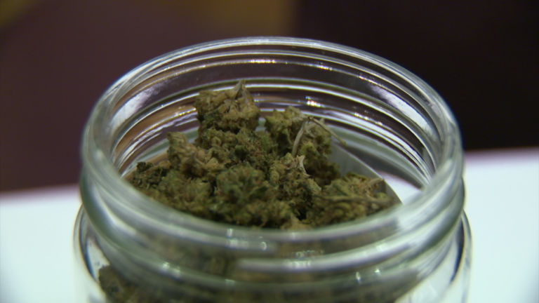 Hemp’s the hot topic at annual agriculture convention