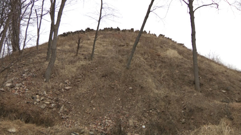 Tackling a mountain of dumped waste in Vernon woodlands