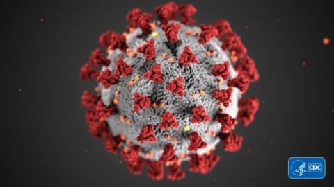 Coronavirus Checklist: Stay Up to Date with the Latest Developments