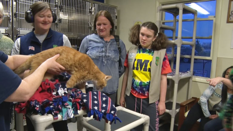 Hillsborough Girl Scout troop tailors programs for those with special needs