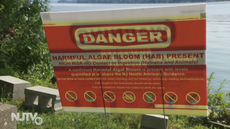 To keep NJ lakes open, DEP devises rating system for harmful algal blooms