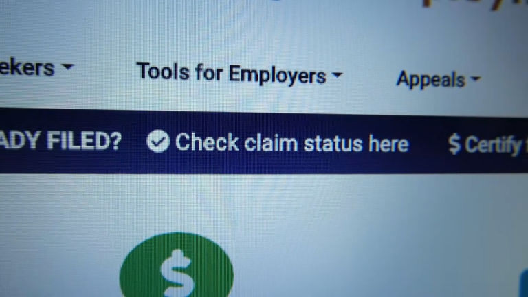 Missing unemployment checks, scarce jobs in coronavirus economy