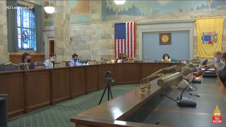 Senate committee advances police reform bills