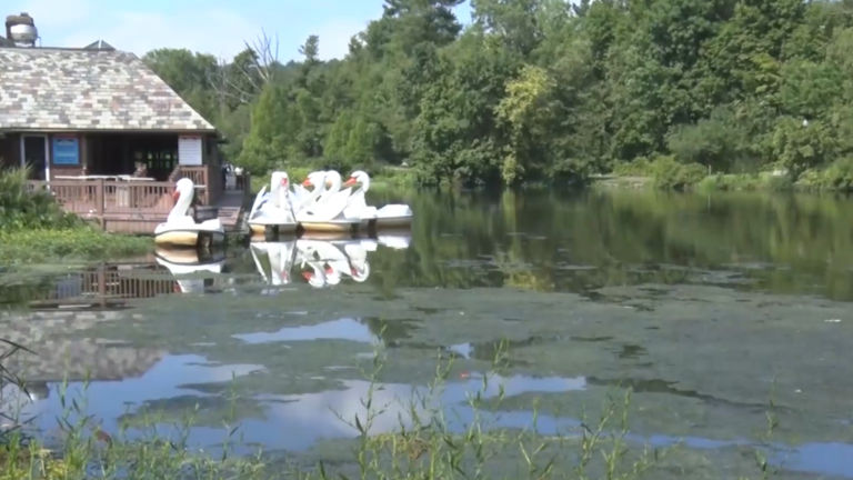 Harmful algal blooms at dangerous levels pop up in NJ
