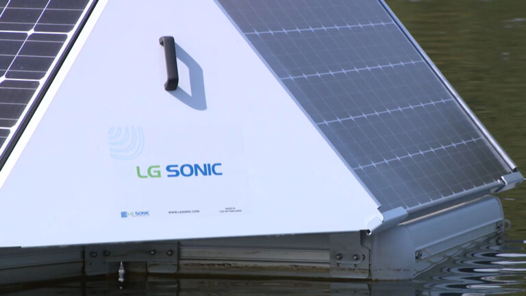 New technology uses ultrasonic waves to control harmful algal blooms