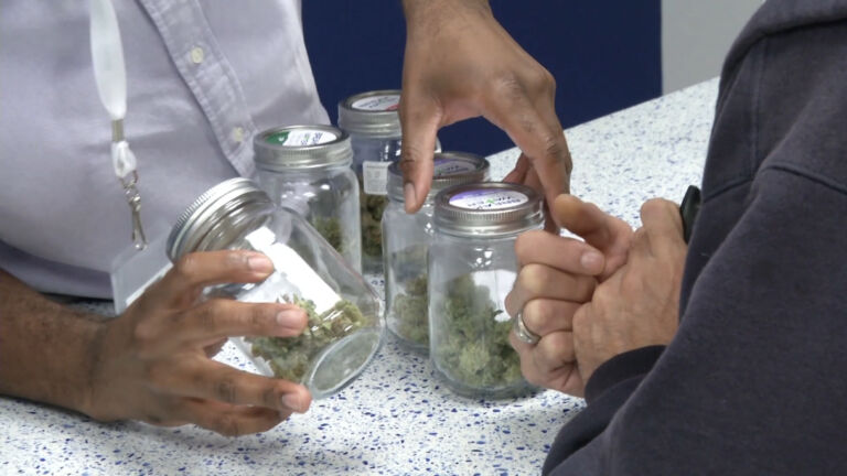 Marijuana groups launch campaigns to reach voters