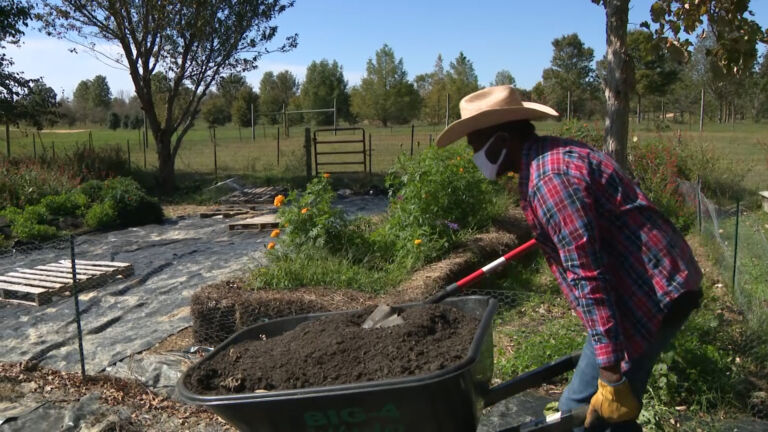 Using a farm-to-table approach to combat food deserts in South Jersey