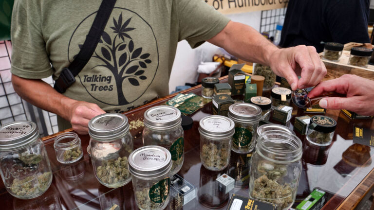 NJ ballot questions 2020: Legal weed wins
