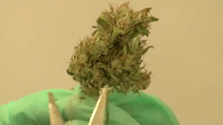 Gov. Murphy proposes fines for underage marijuana use