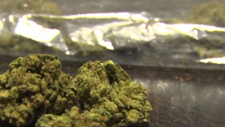 Proposal to update NJ school curriculum to include cannabis education