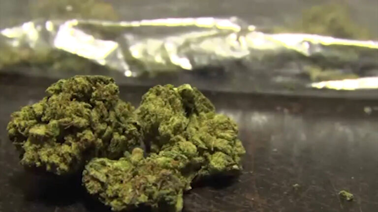 What to expect now that marijuana no longer a criminal substance in NJ