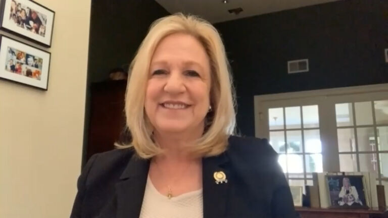 Assemblywoman Vainieri Huttle discusses tough upcoming Senate race