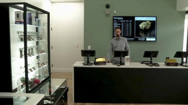 Recreational marijuana industry positioned to take off