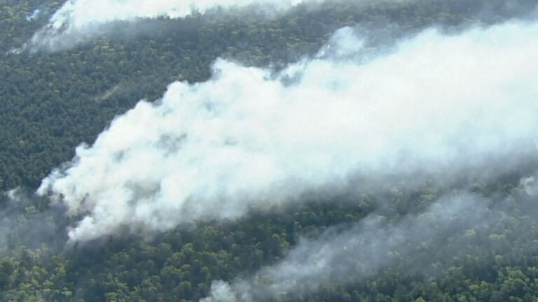NJ forest fire now fully contained