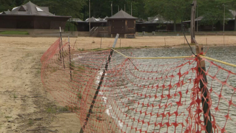 Harmful algal blooms close swimming area at NJ state park for 2021 summer season
