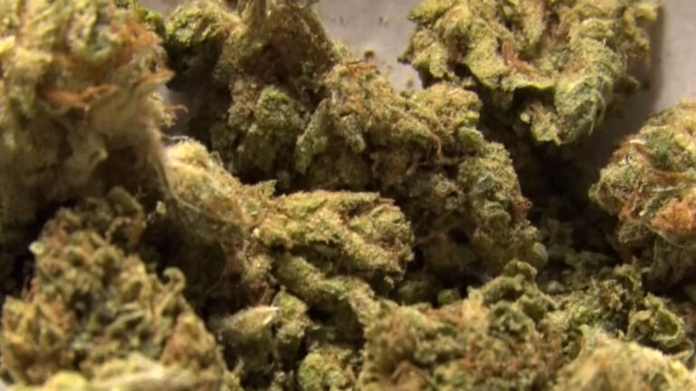 Cities voice concerns to Cannabis Regulatory Commission over zoning, traffic, other issues
