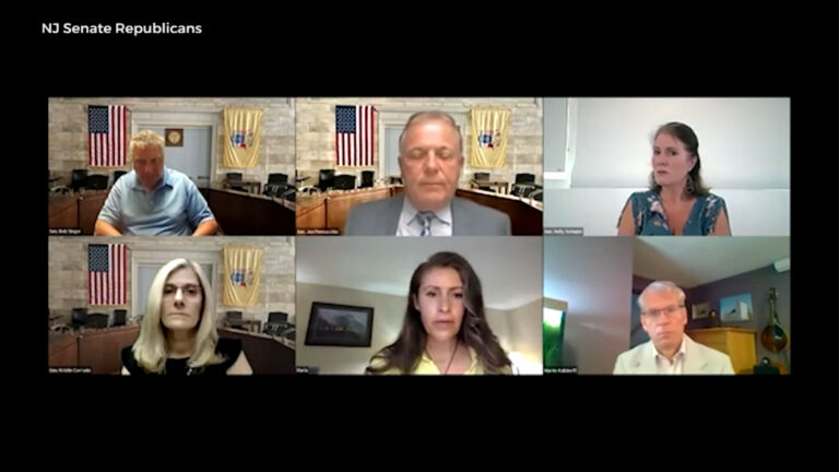 GOP hears anti-mask testimony during Senate Facebook session