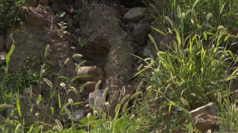 Residents seek action on Camden’s mountain of contaminated dirt