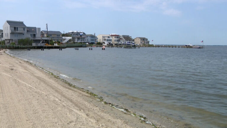 The bacteria that put some Shore beaches off limits temporarily