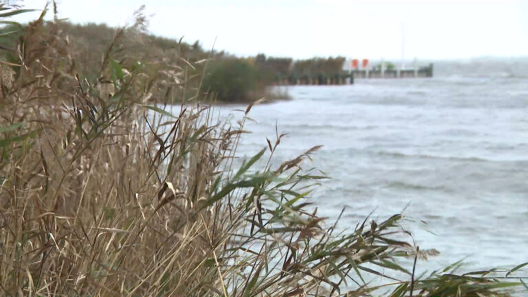 As NJ loses tidal marshes to rising seas, new study proposes solutions