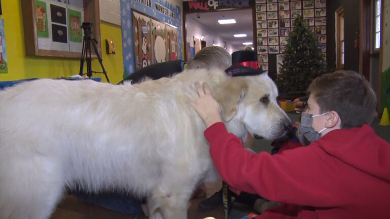 Therapy dog helps kids read at Sussex County school
