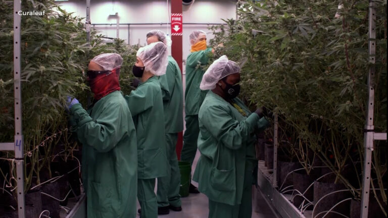 Advocates push for cheaper medical marijuana in NJ