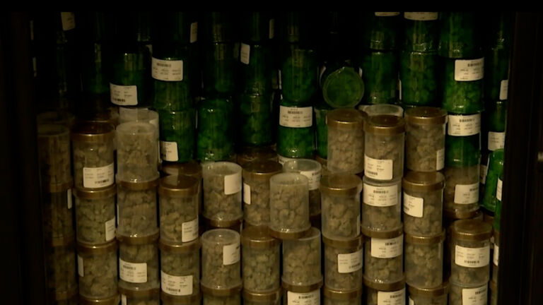 Strong interest as NJ opens application process for marijuana dispensary licenses
