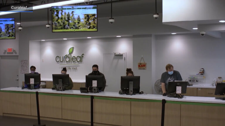 Towns play crucial role in cannabis start-up success