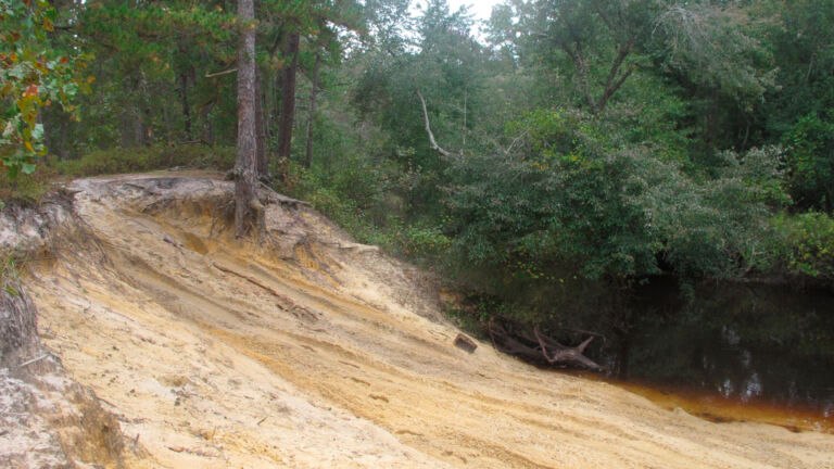Will DEP’s plans for Wharton State Forest solve its off-road battles?