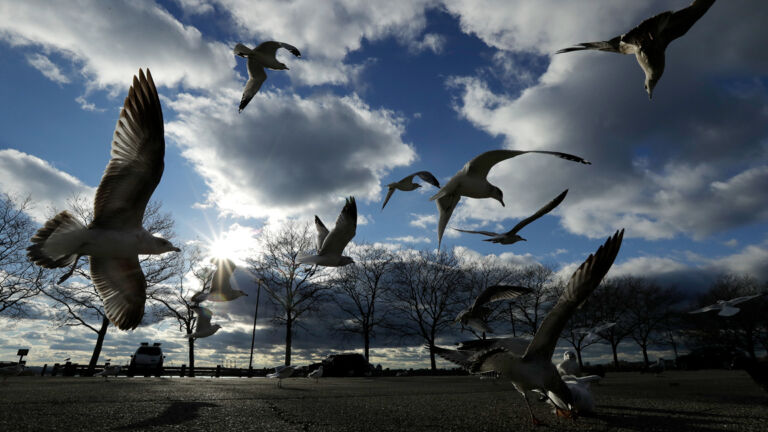 Opinion: Is there still a chance to fix Liberty State Park — or is the fix in?