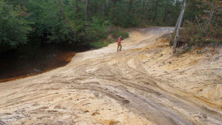 New map, permits possible for off-road drivers in Wharton State Forest