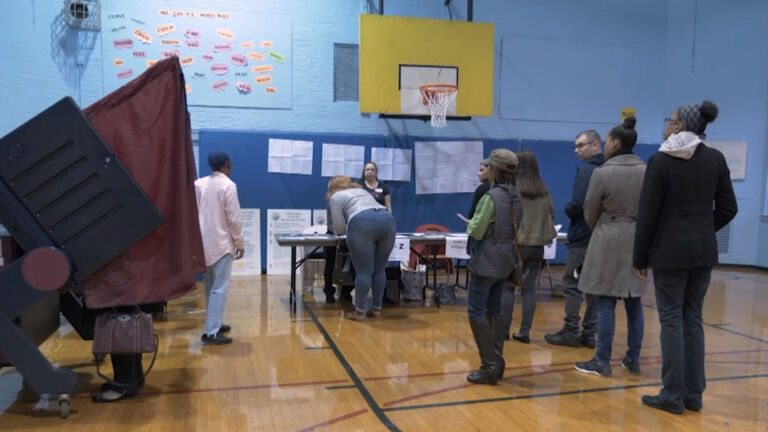 Critics want to reform primary ballot, erase ‘party line’