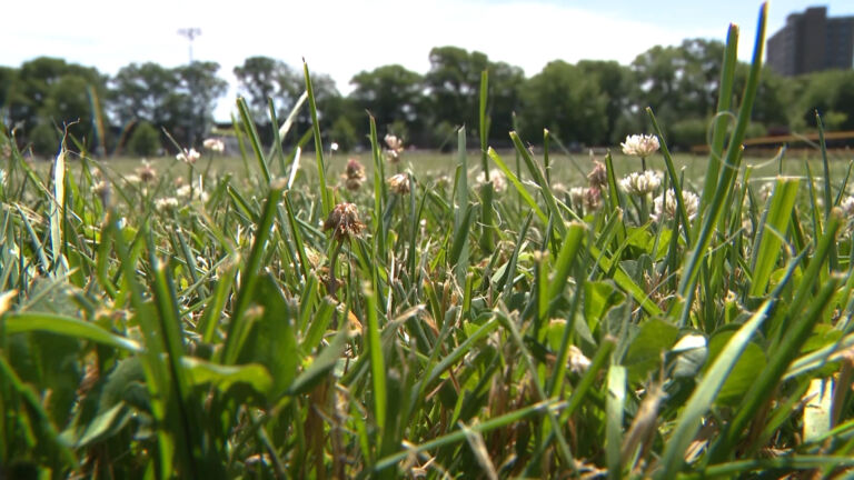 NJ’s allergy season is longer, harder due to climate change