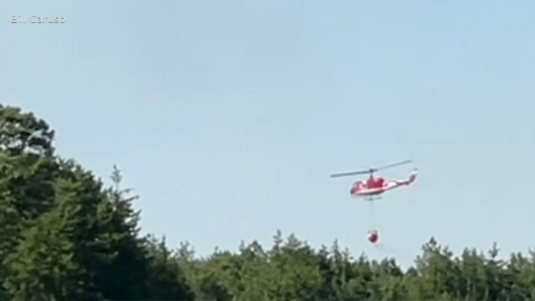 Firefighters battle massive wildfire in Wharton State Forest