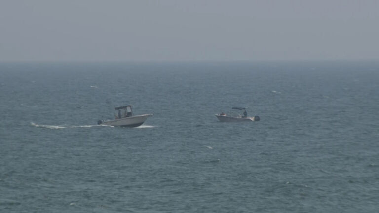Humpback whale sightings more frequent along Jersey Shore