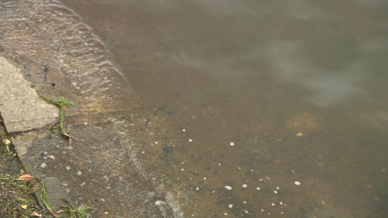 Heat wave and heavy rains spur algal blooms in NJ lakes