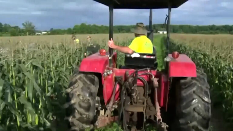 Extreme heat hits New Jersey farmers, farm workers